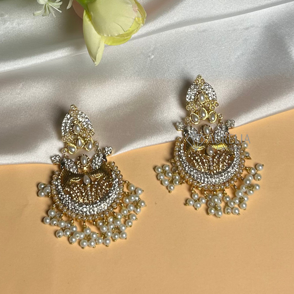 ER077 Ethnic Earrings