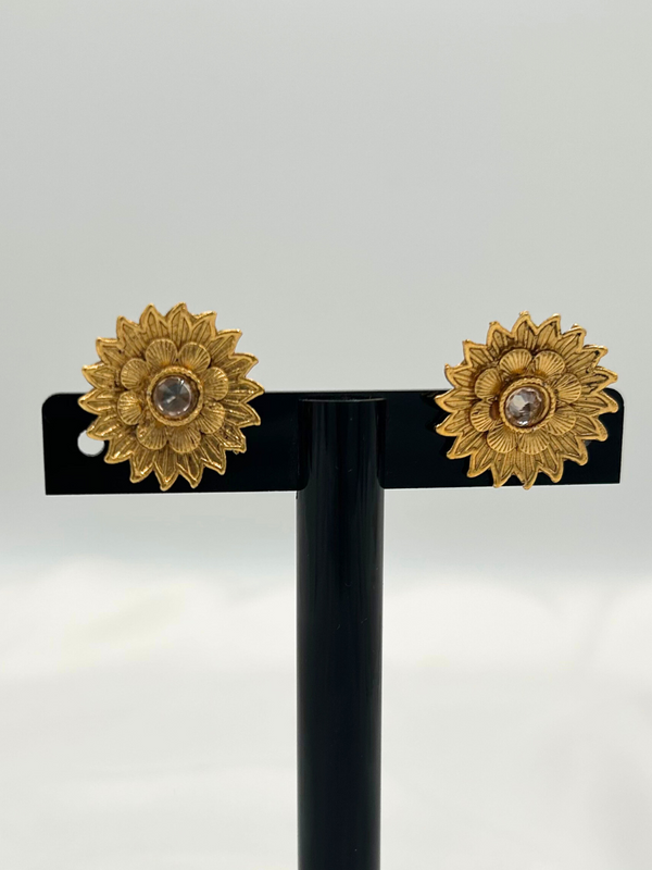 ER193 Ethnic Earrings