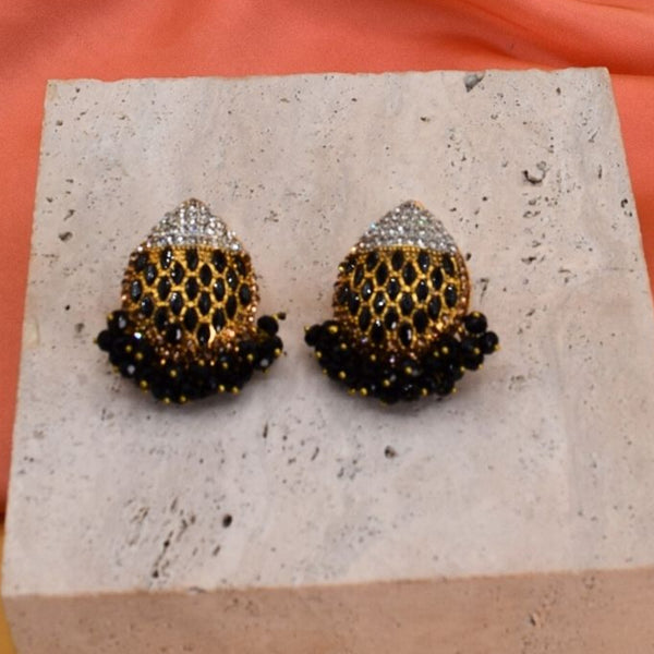 ER233 Ethnic Earrings