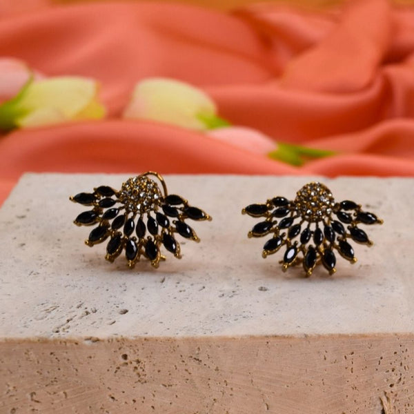 ER235 Ethnic Earrings