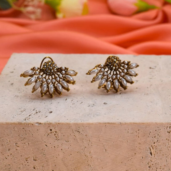 ER241 Ethnic Earrings