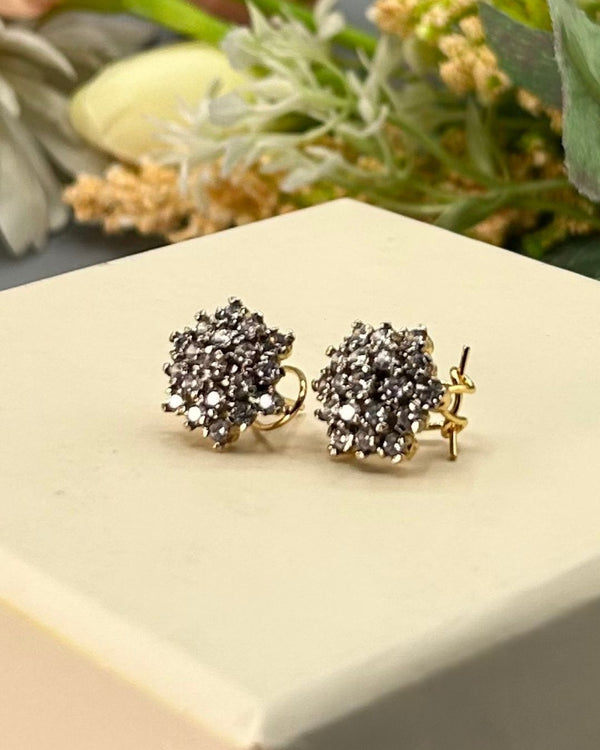 ER244 Glam Earrings