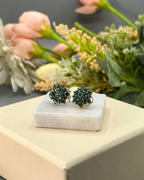ER245 Glam Earrings