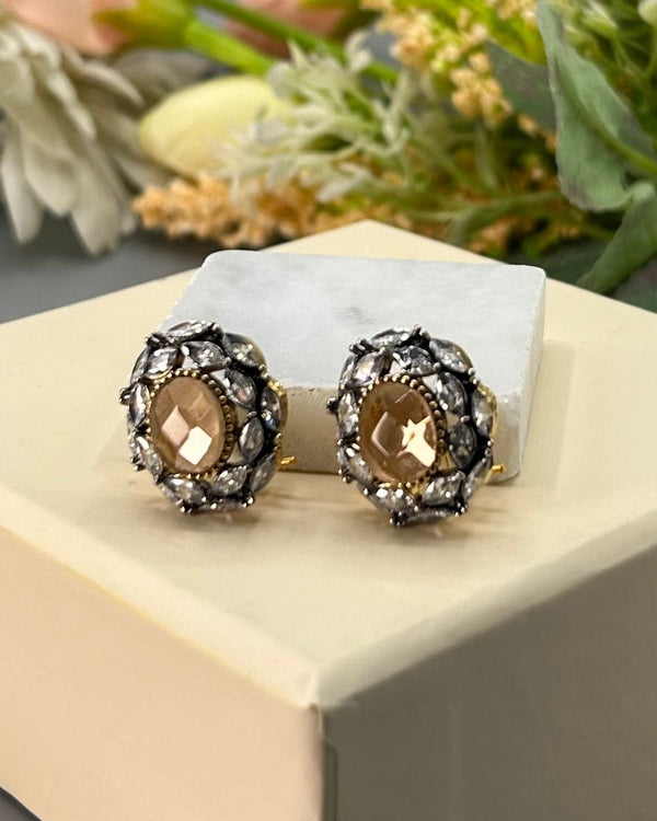 ER248 Glam Earrings