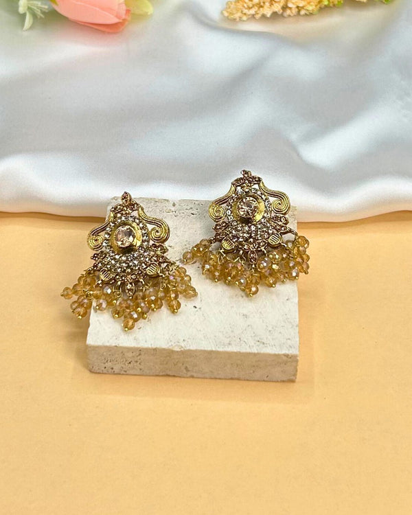 ER262 Ethnic Earrings