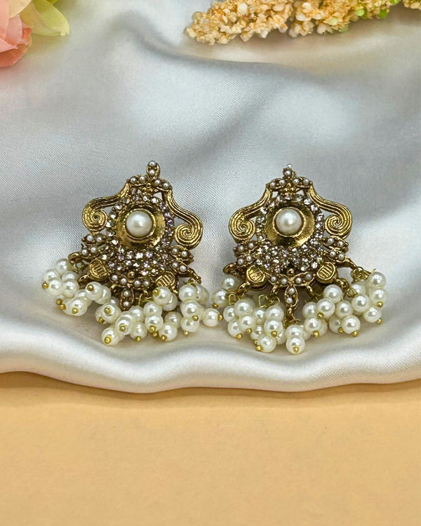 ER263 Ethnic Earrings