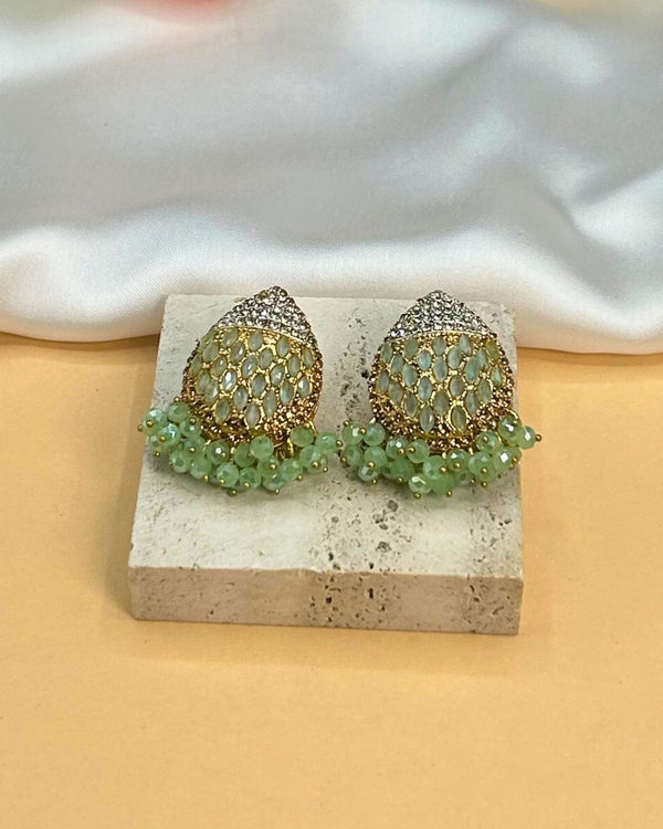 ER266 Ethnic Earrings
